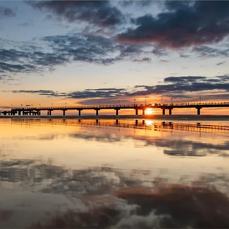 Familienidyll Nemo *