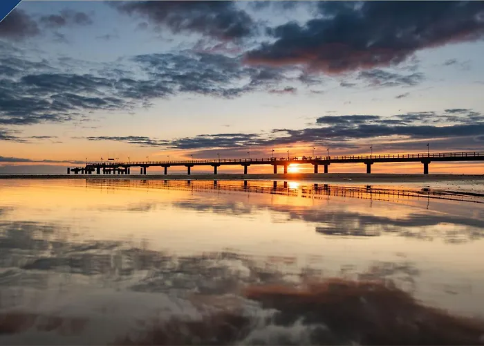 Familienidyll Nemo *